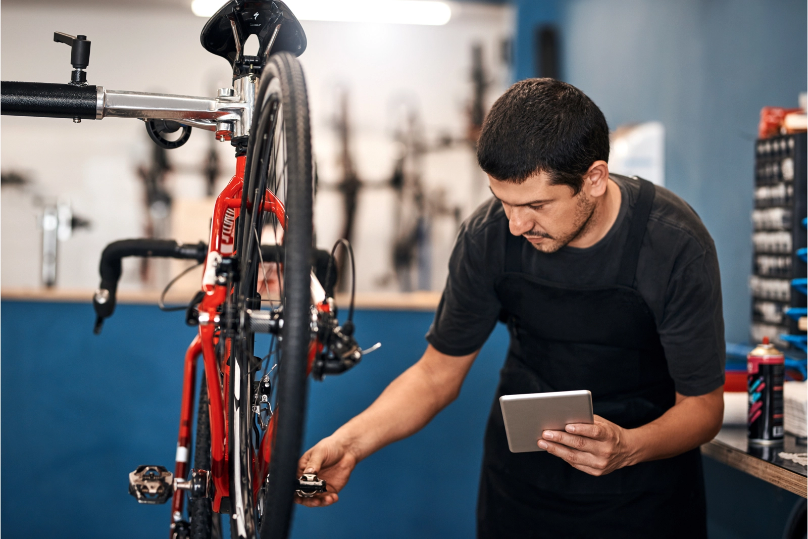 Bicycle mechanic fixing bike.